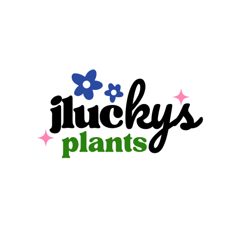 Jluckys